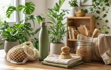 Article Image for Building Sustainable Habits at Home