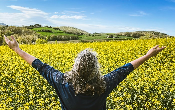 Article Image for Creating a Distinct Identity in the Wellness Market