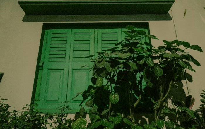 Article Image for Green Living Habits in Global Urban Centers