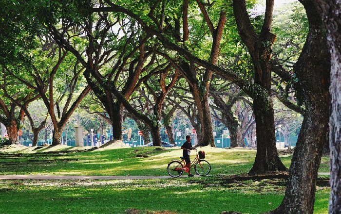 Article Image for Health-Focused Building Design in Major Cities