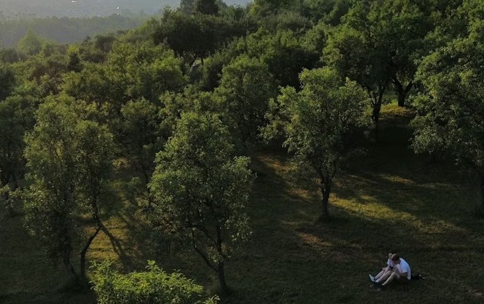 Article Image for The Allure of Silent Retreats