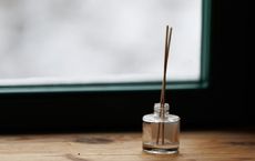 Article Image for The Art of Aromatherapy and Essential Oils