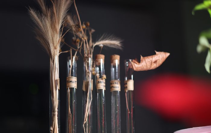 Article Image for The Craft of Aromatherapy in Modern Life