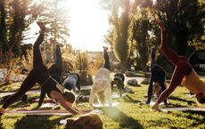 Article Image for The Rise of Everyday Wellness Habits Shaping Modern Life