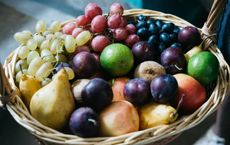 Article Image for The Rising Focus on Food Literacy Worldwide