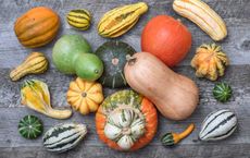Top Wellness Habits to Embrace for a Healthier Life