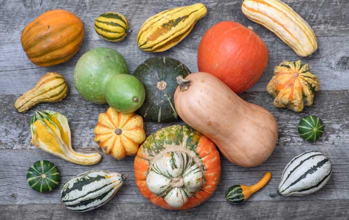 Top Wellness Habits to Embrace for a Healthier Life