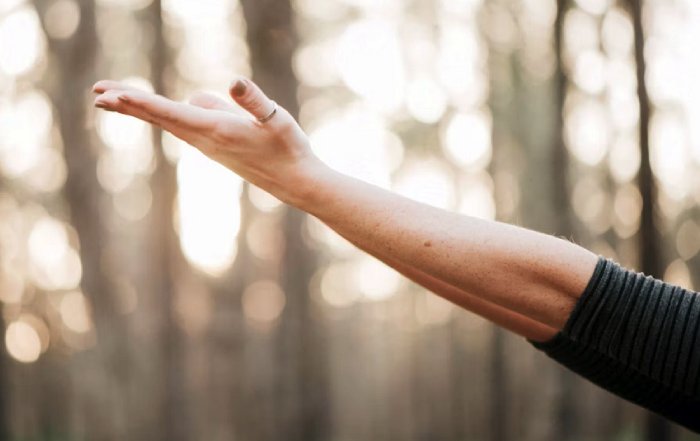 Article Image for Wellness as a Key Element of Quality of Life