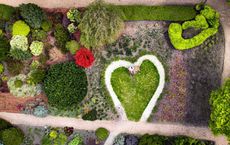 Article Image for Wellness Brands Leading the Way in Australia: Green Beauty for the Eco-Conscious